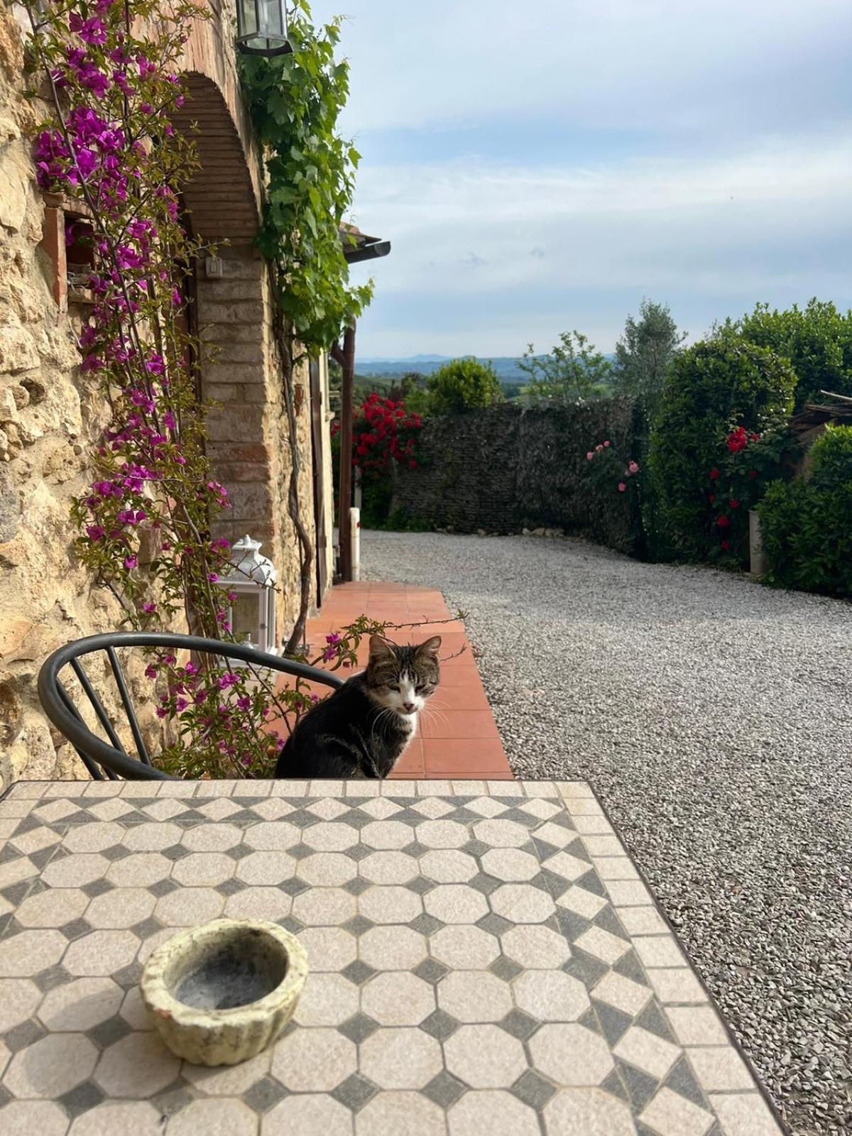 Antico Casolare Villa ซานจีมิญญาโน ภายนอก รูปภาพ