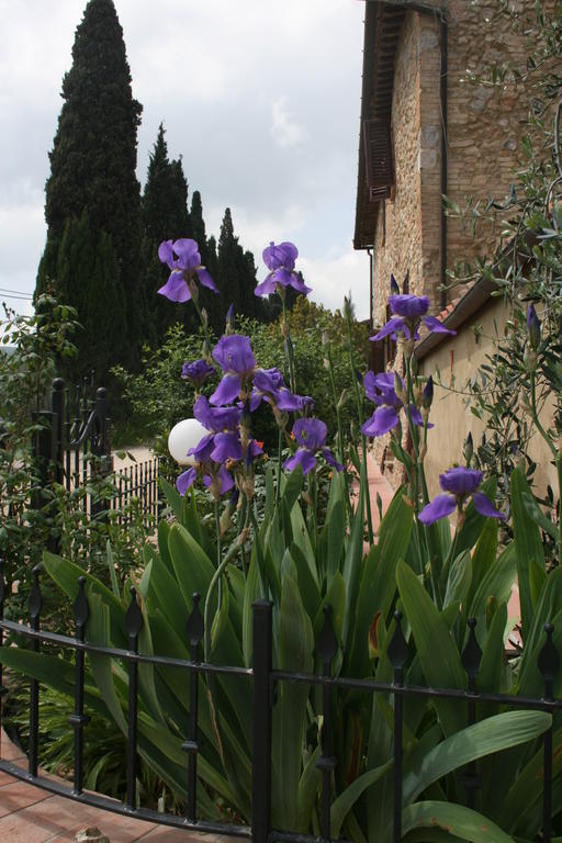 Antico Casolare Villa ซานจีมิญญาโน ภายนอก รูปภาพ